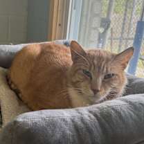 Thumbnail photo of Remi #4