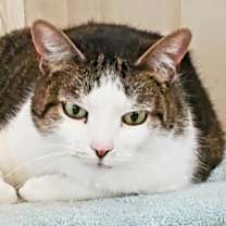 Thumbnail photo of Zoey #2