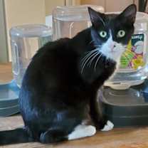 Thumbnail photo of Kramer #2