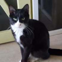 Thumbnail photo of Kramer #3