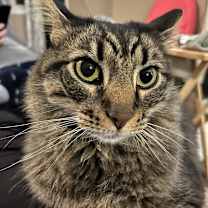 Thumbnail photo of Oliver #2