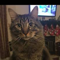 Thumbnail photo of Oliver #3