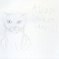 Thumbnail photo of Rocket #2