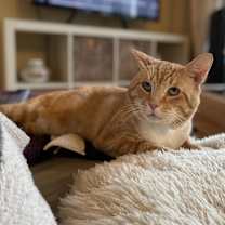 Thumbnail photo of Ray #1