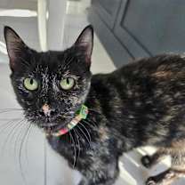 Thumbnail photo of Bianca #1