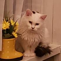 Thumbnail photo of Sugar #2