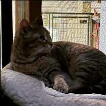 Thumbnail photo of Riley #2
