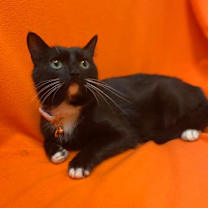 Thumbnail photo of Gwen #1