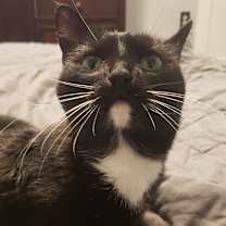 Thumbnail photo of Gwen #2