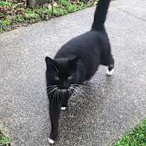 Thumbnail photo of Gwen #4