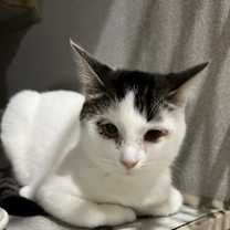 Thumbnail photo of Zuri #2