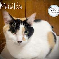 Thumbnail photo of Matilda #1