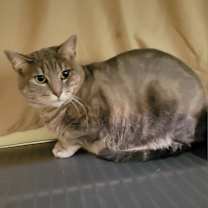 Thumbnail photo of Mitsy 2022 #4