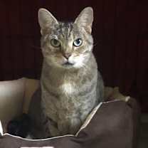 Thumbnail photo of Dora #3