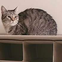 Thumbnail photo of Montana #2