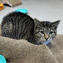 Thumbnail photo of Hannah #1