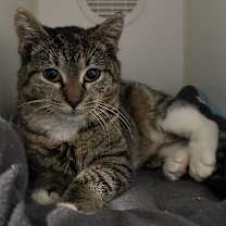 Thumbnail photo of Hannah #3