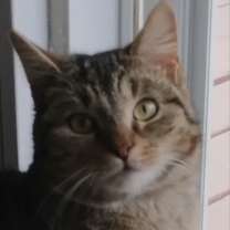 Thumbnail photo of Mickey #1