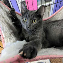 Thumbnail photo of Natalie #1