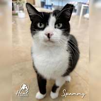 Thumbnail photo of Spammy #1