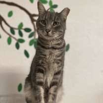 Thumbnail photo of Cassidy #4