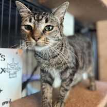Thumbnail photo of Hamish #1