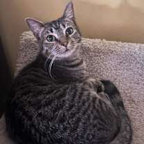 Thumbnail photo of Hamish #2