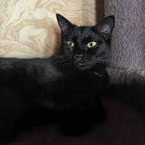 Thumbnail photo of Yaddie #2