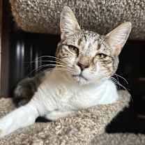 Thumbnail photo of Meadow #1