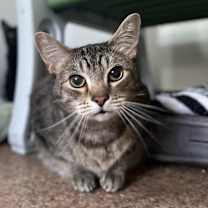 Thumbnail photo of Davey #1