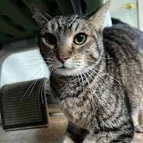 Thumbnail photo of Davey #2