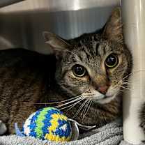 Thumbnail photo of Davey #3