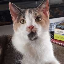 Thumbnail photo of Penny Ann Hult #1