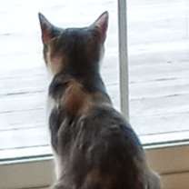 Thumbnail photo of Penny Ann Hult #2