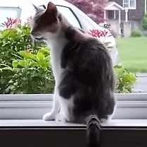 Thumbnail photo of Penny Ann Hult #3