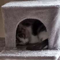 Thumbnail photo of Penny Ann Hult #4
