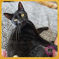 Thumbnail photo of Joaquin #2