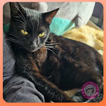 Thumbnail photo of Joaquin #4