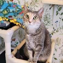 Thumbnail photo of Daisy #2