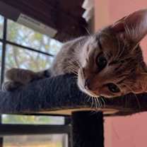 Thumbnail photo of Tabitha S #4