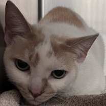 Thumbnail photo of Pete #3