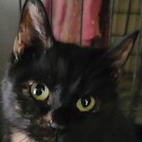 Thumbnail photo of Freckles #3