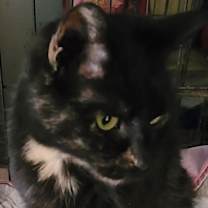 Thumbnail photo of Freckles #4