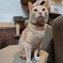 Thumbnail photo of Garfield #1