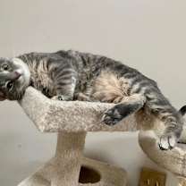 Thumbnail photo of Merry #4