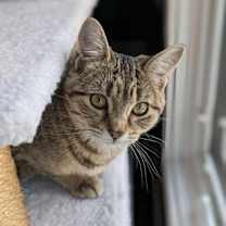 Thumbnail photo of Mabel #1