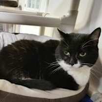 Thumbnail photo of Catsy Cline #1