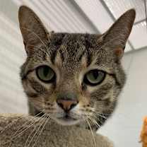 Thumbnail photo of Minnie #1
