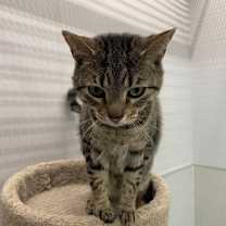 Thumbnail photo of Minnie #2