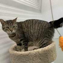 Thumbnail photo of Minnie #3